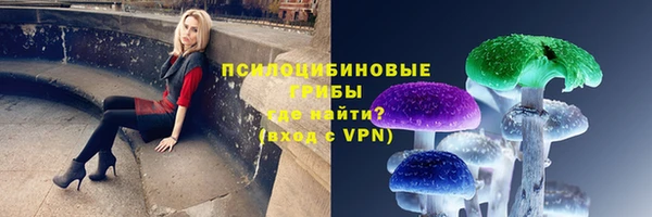 крисы Медвежьегорск