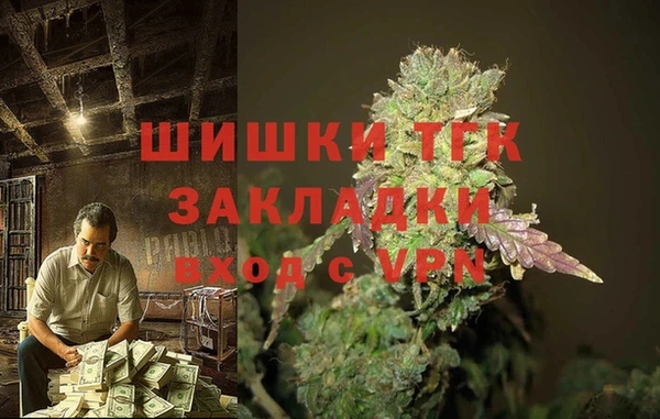 крисы Медвежьегорск