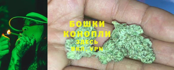 крисы Медвежьегорск