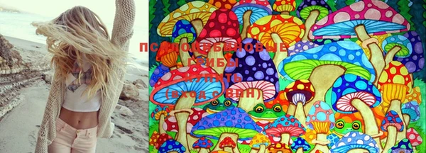 крисы Медвежьегорск
