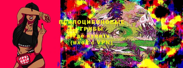 спиды Медногорск