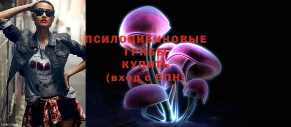 крисы Медвежьегорск
