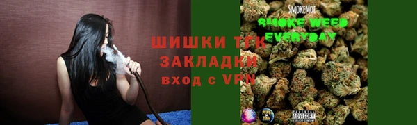 спиды Медногорск