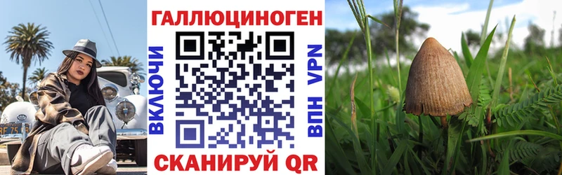 ОМГ ОМГ ТОР  Пойковский  Псилоцибиновые грибы мухоморы  дарк нет наркотические препараты  цены наркотик 